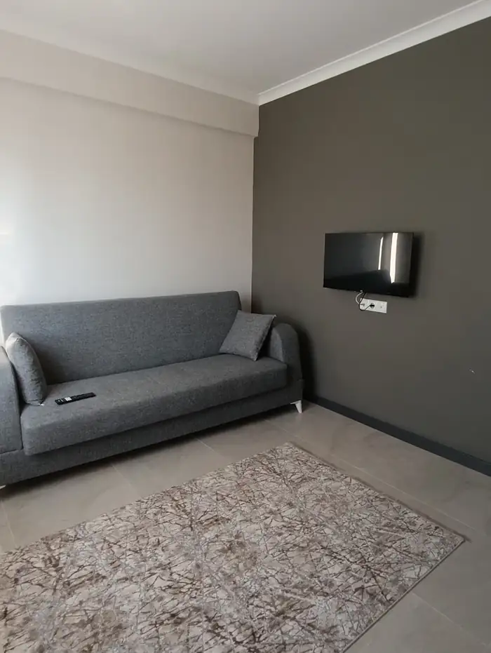 Gri kanepe, televizyon ve halı